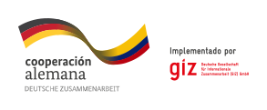 logo-giz